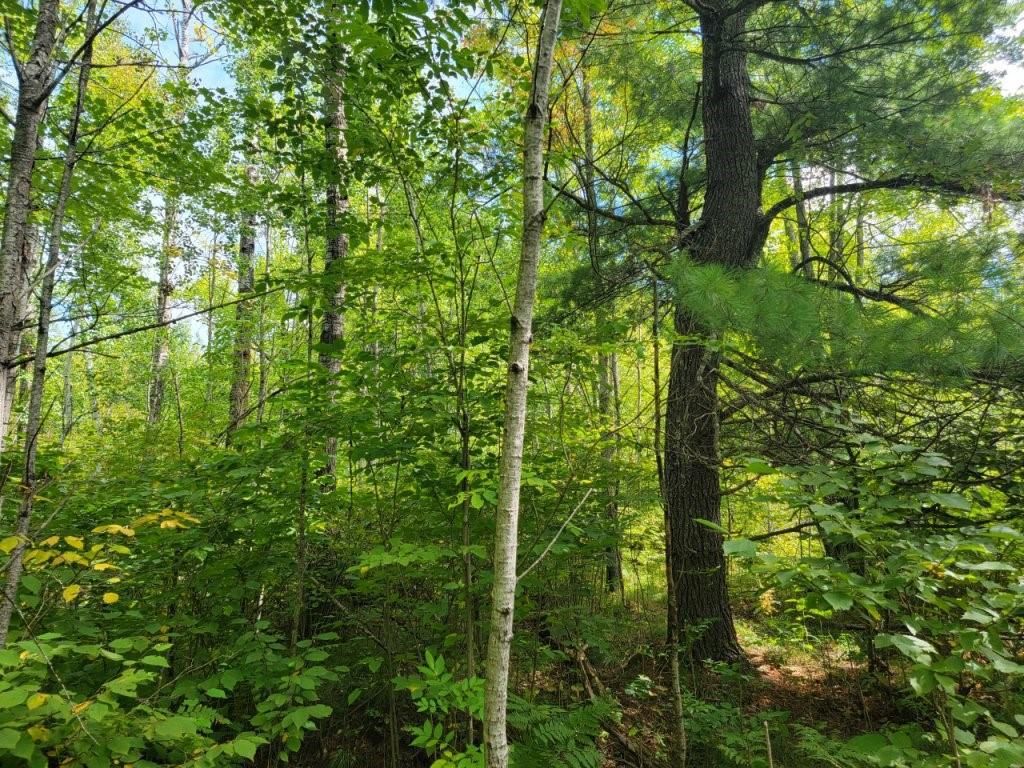 Photo of On Cemetery ROAD, Radisson, WI 54867 (MLS # 1595472)