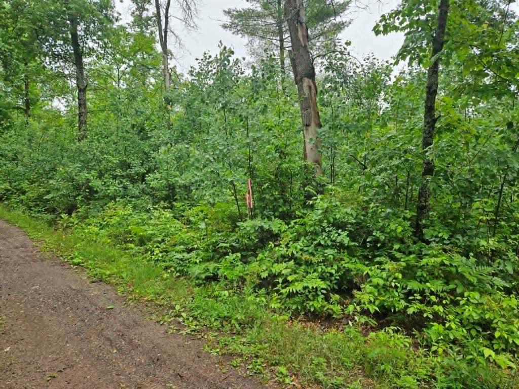 Photo of Lot 1 Hilly Ln, Spooner, WI 54801 (MLS # 1602446)