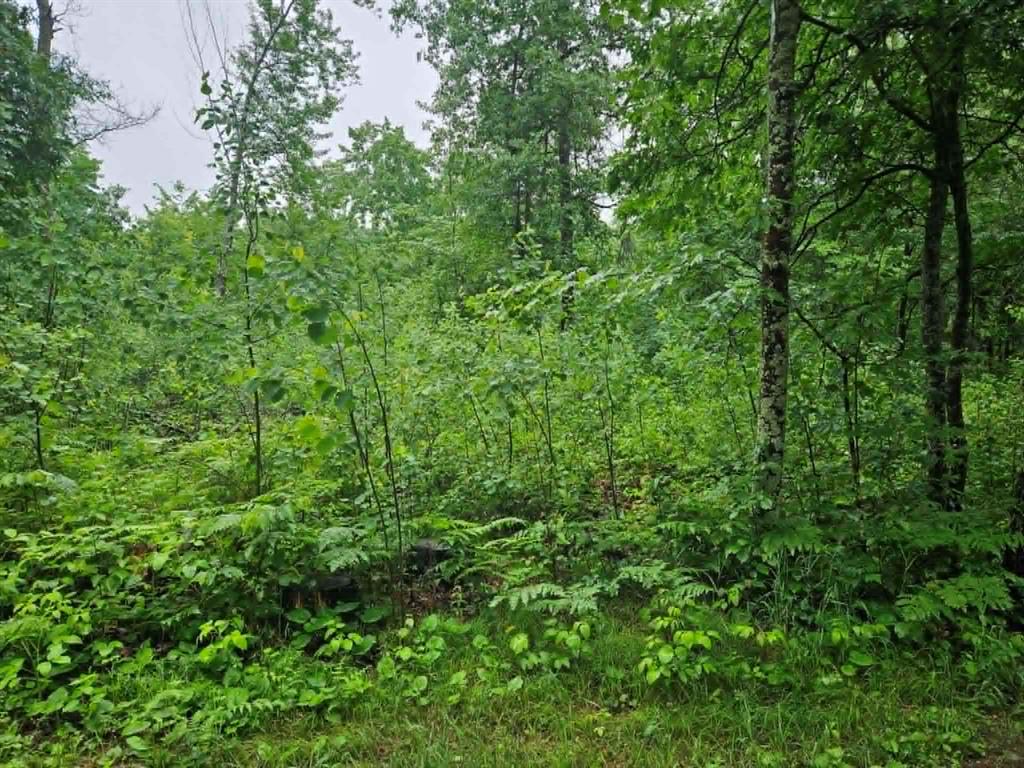 Photo of Lot 1 Hilly Ln, Spooner, WI 54801 (MLS # 1602446)