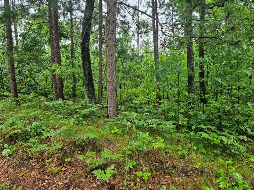 Photo of Lot 1 Hilly Ln, Spooner, WI 54801 (MLS # 1602446)