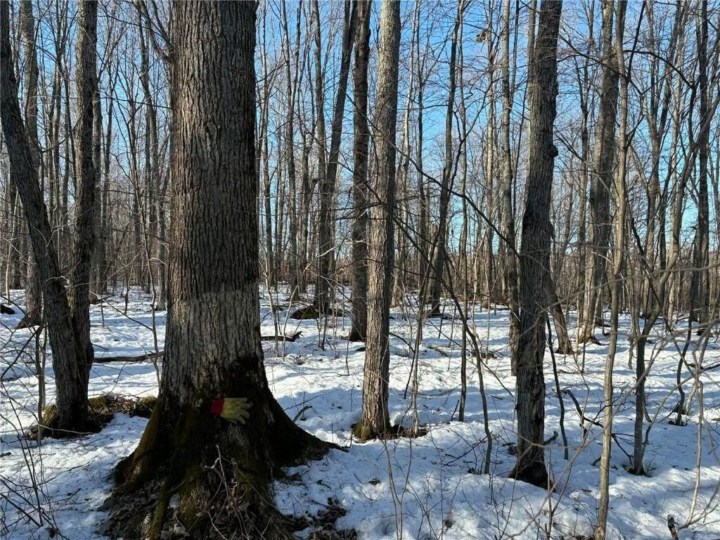 Photo of 0000 Winter Rd, Ladysmith, WI 54848 (MLS # 1599005)