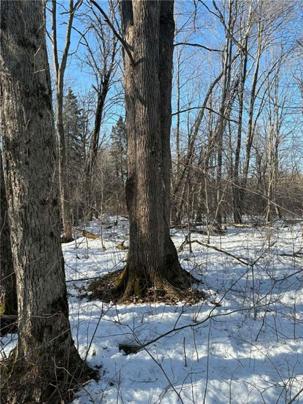 Photo of 0000 Winter Rd, Ladysmith, WI 54848 (MLS # 1599005)