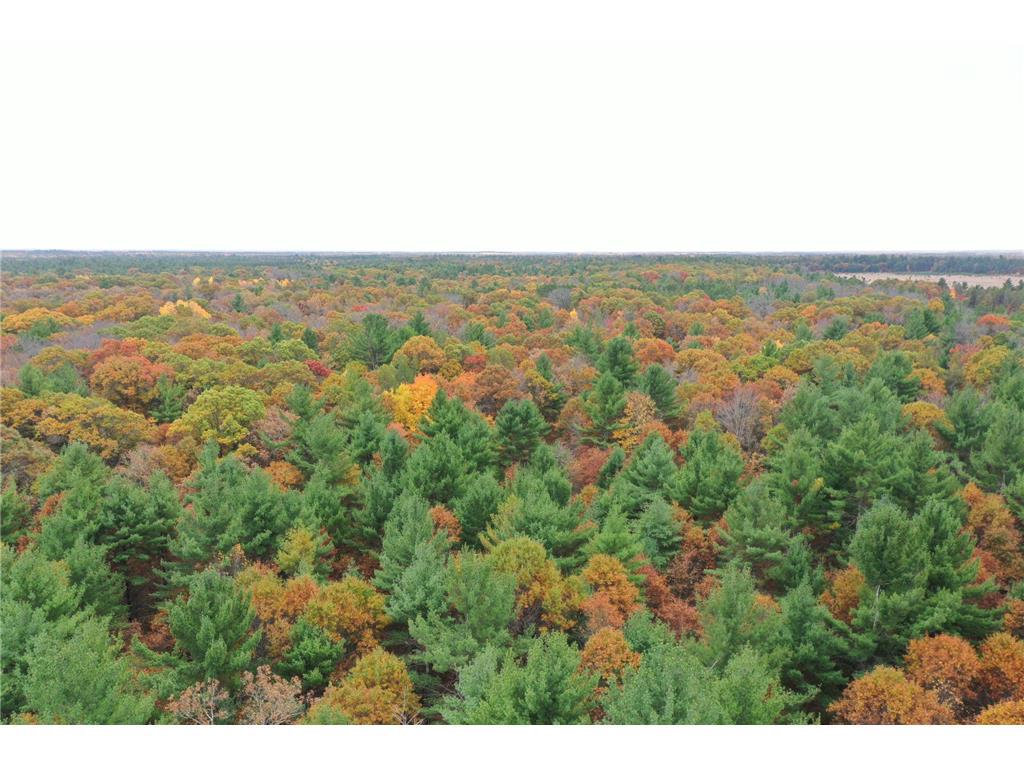 Photo of XXX Benson ROAD, Grantsburg, WI 54840 (MLS # 7158975)