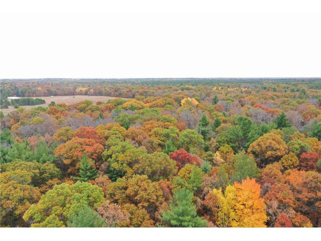 Photo of XXX Benson ROAD, Grantsburg, WI 54840 (MLS # 7158975)