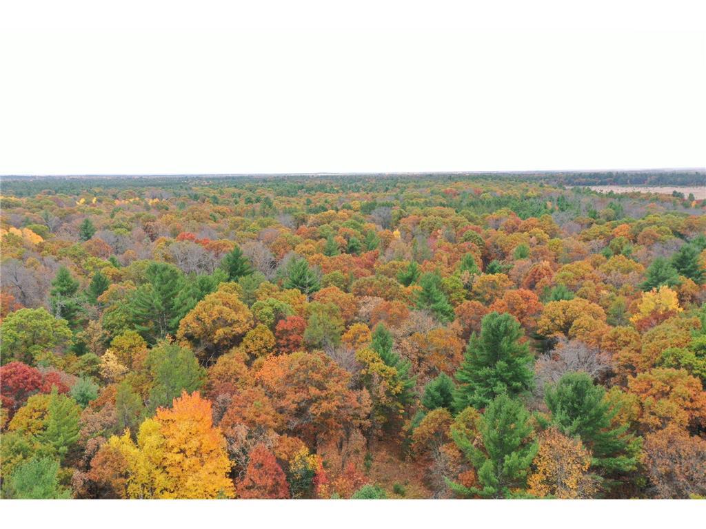 Photo of XXX Benson ROAD, Grantsburg, WI 54840 (MLS # 7158975)