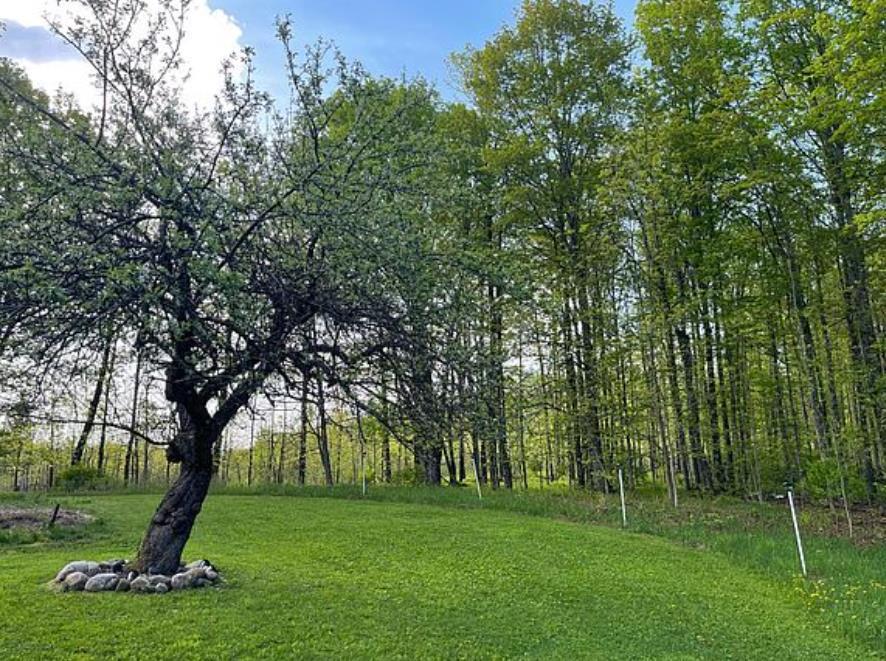 Photo of 5222 Sth 139, Tipler, WI 54542 (MLS # 50333089)