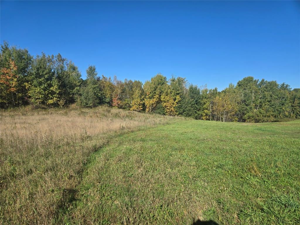 Photo of 5 Acres 180th STREET, Chippewa Falls, WI 54729 (MLS # 1605697)