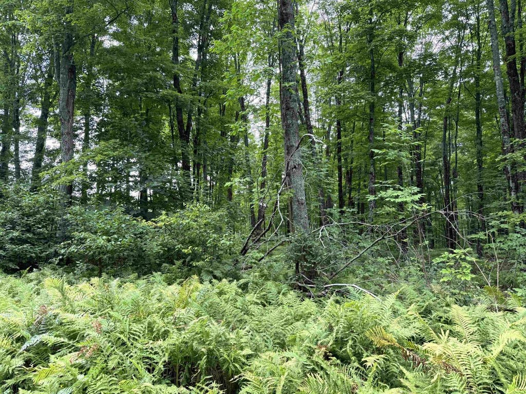 Photo of Sportsman ROAD, WI 54125 (MLS # 22604553)