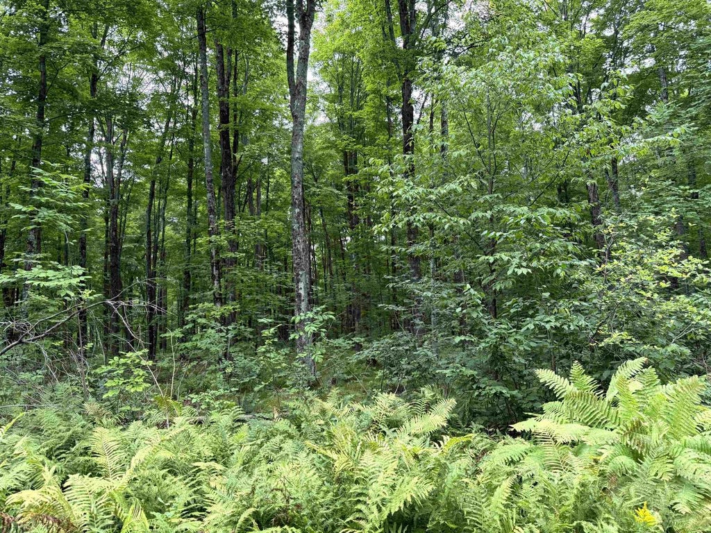 Photo of Sportsman ROAD, WI 54125 (MLS # 22604553)