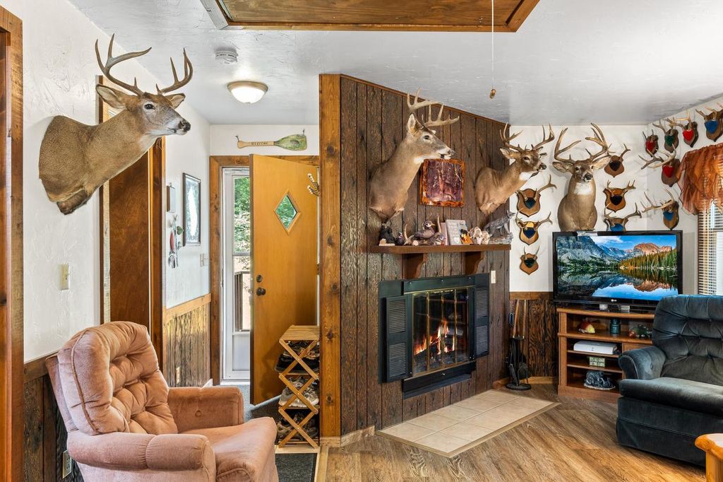 Photo of W15831 Fawn Acres ROAD, Goodman, WI 54120 (MLS # 50324416)