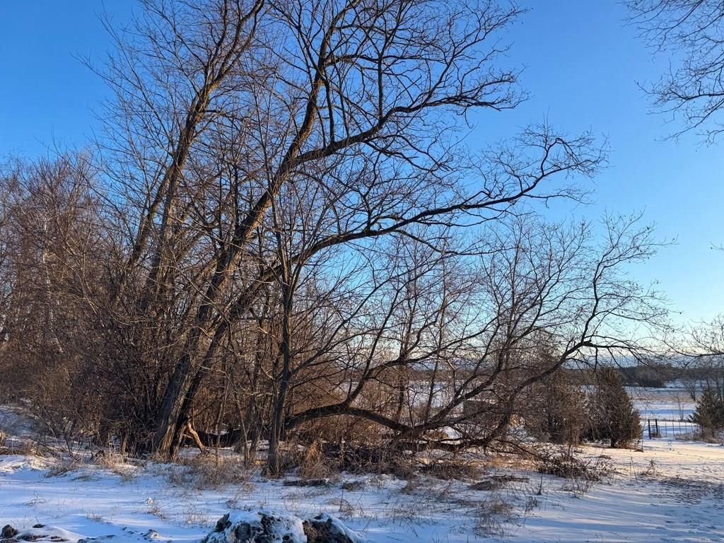 Photo of N 20th AVENUE, Sturgeon Bay, WI 54235 (MLS # 50320623)