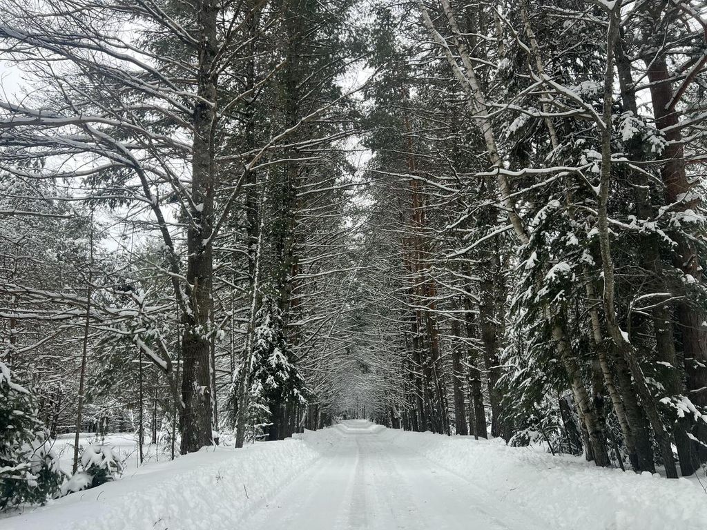 Photo of 2550 Columbus ROAD, Eagle River, WI 54521 (MLS # 1951572)