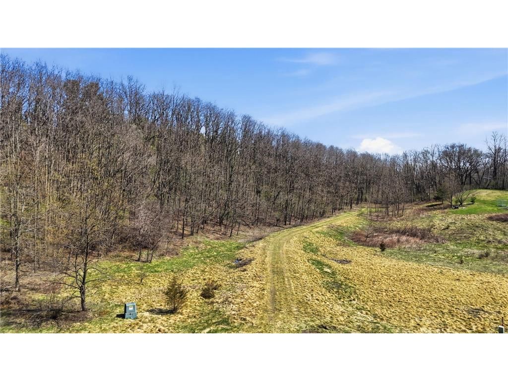 Photo of 406 134th AVENUE, Houlton, WI 54082 (MLS # 7058857)