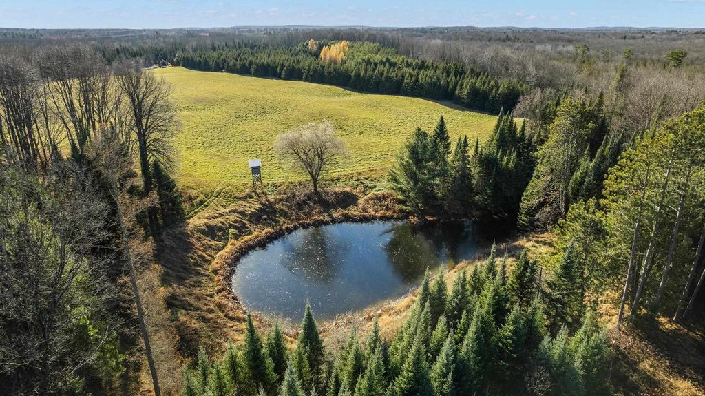 Photo of Lot 1 &amp; 2 Maple LANE, Tigerton, WI 54486 (MLS # 22505435)