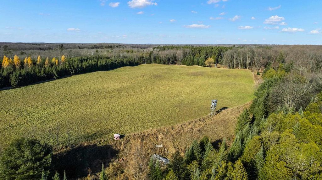 Photo of Lot 1 &amp; 2 Maple LANE, Tigerton, WI 54486 (MLS # 22505435)