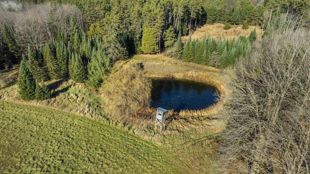 Photo of Lot 1 &amp; 2 Maple LANE, Tigerton, WI 54486 (MLS # 22505435)