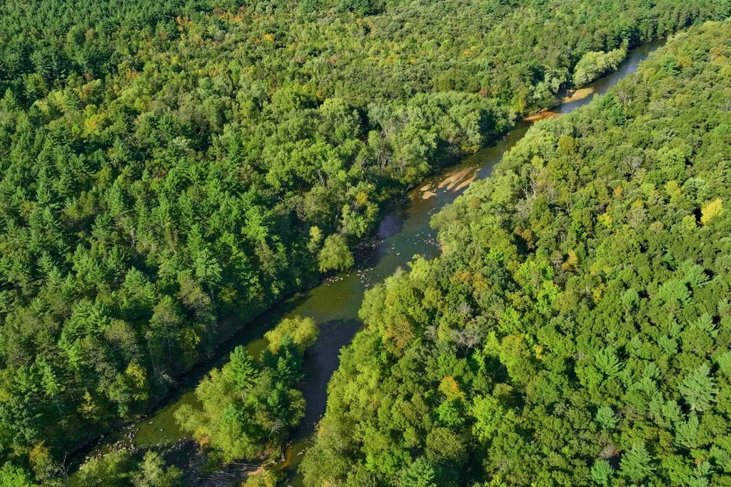 Photo of 200AC Channey Rd Acres ACRES, Augusta, WI 54729 (MLS # 2033871)