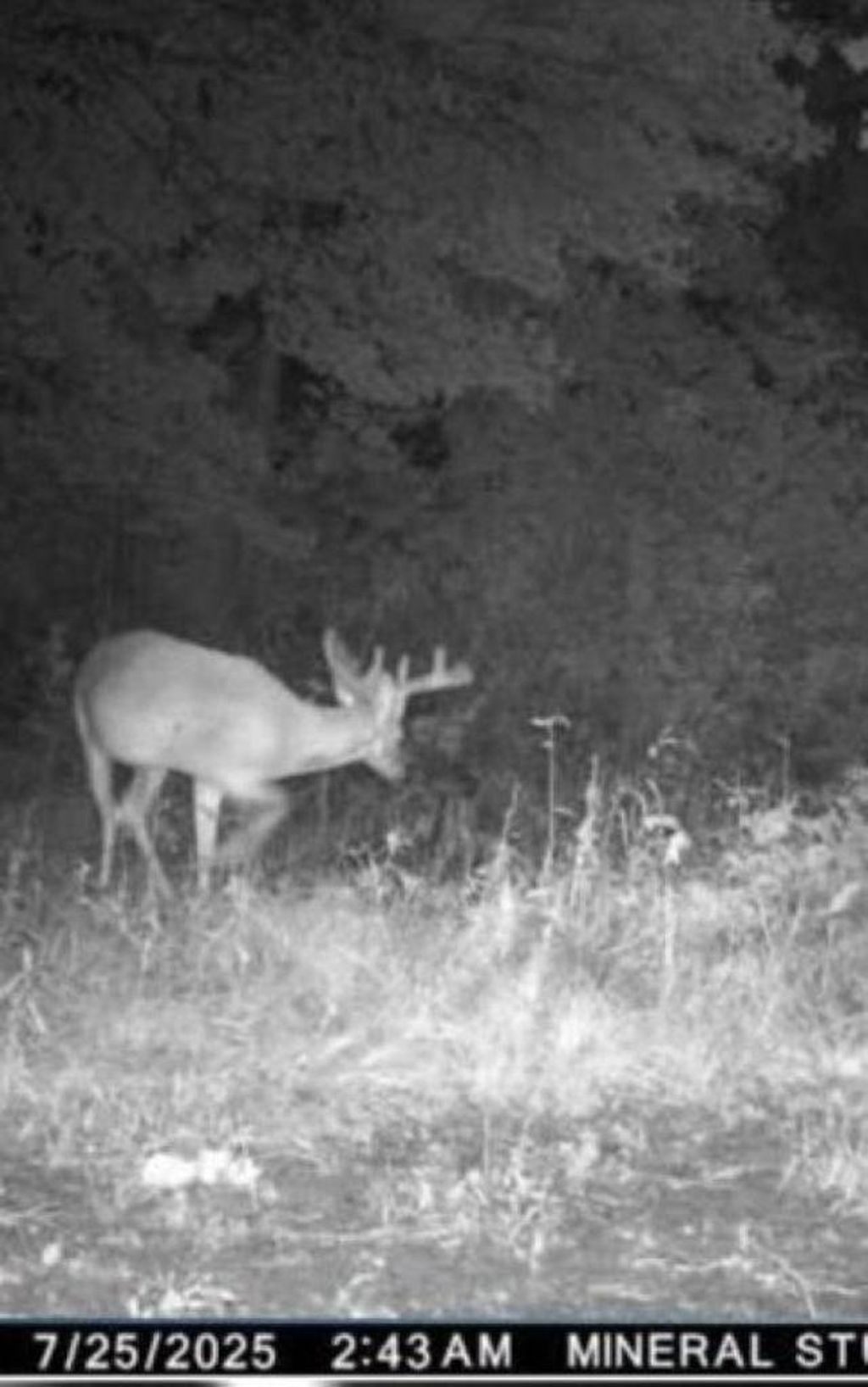 Photo of Eland ROAD, Wittenberg, WI 54499 (MLS # 50322344)