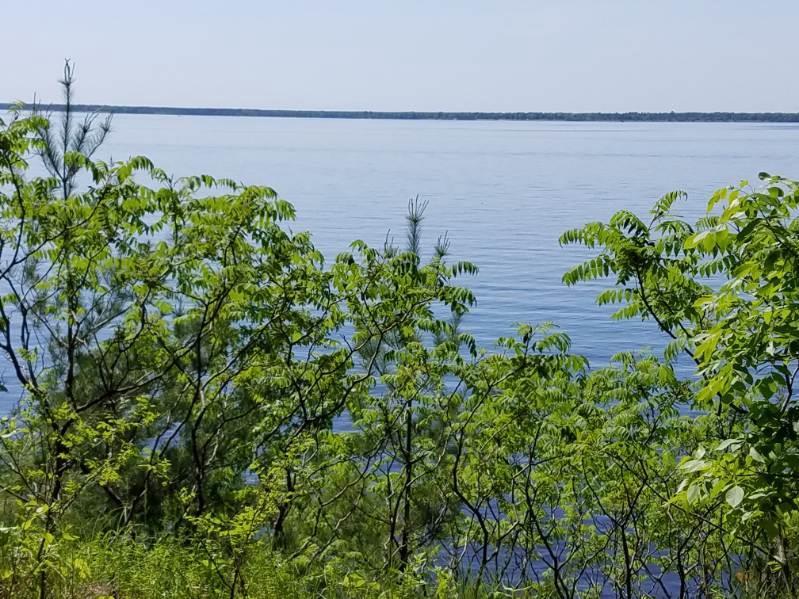 Photo of Lot 69 18th LANE, Arkdale, WI 54613 (MLS # 2016245)