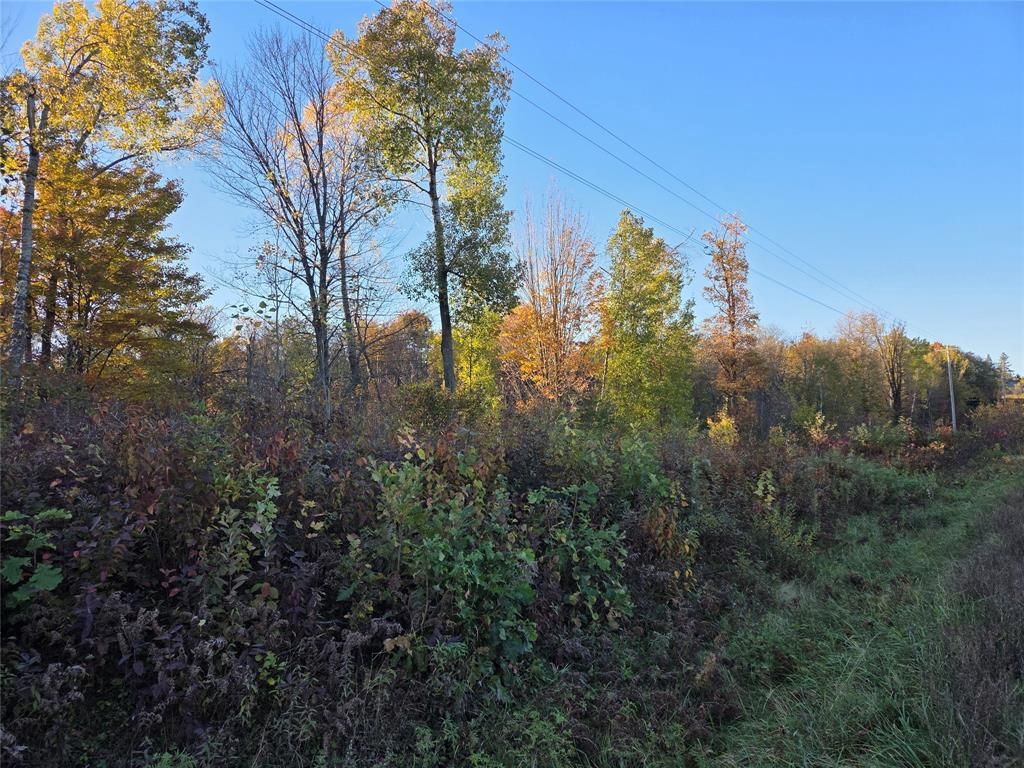 Photo of SW corner of Hwy 25 &amp; Hwy 48 Intersection, Rice Lake, WI 54868 (MLS # 1599819)