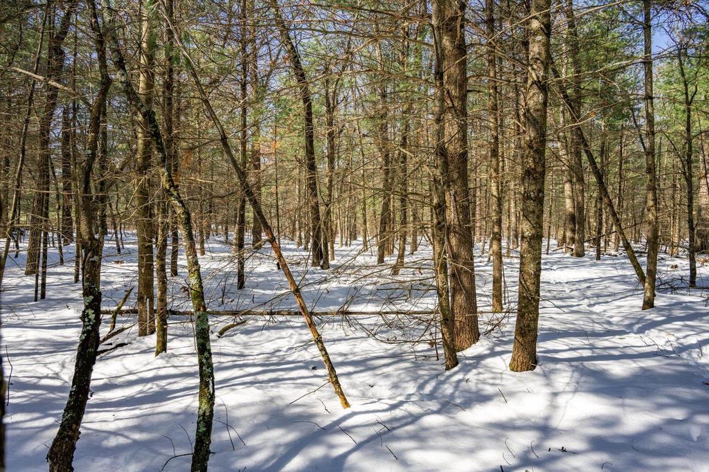 Photo of Lot 28 W 9th COURT, Wisconsin Dells, WI 53965 (MLS # 2019008)