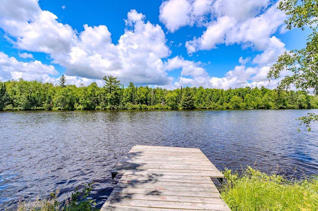 Photo of N6305 State Road 107, Tomahawk, WI 54487 (MLS # 22602849)