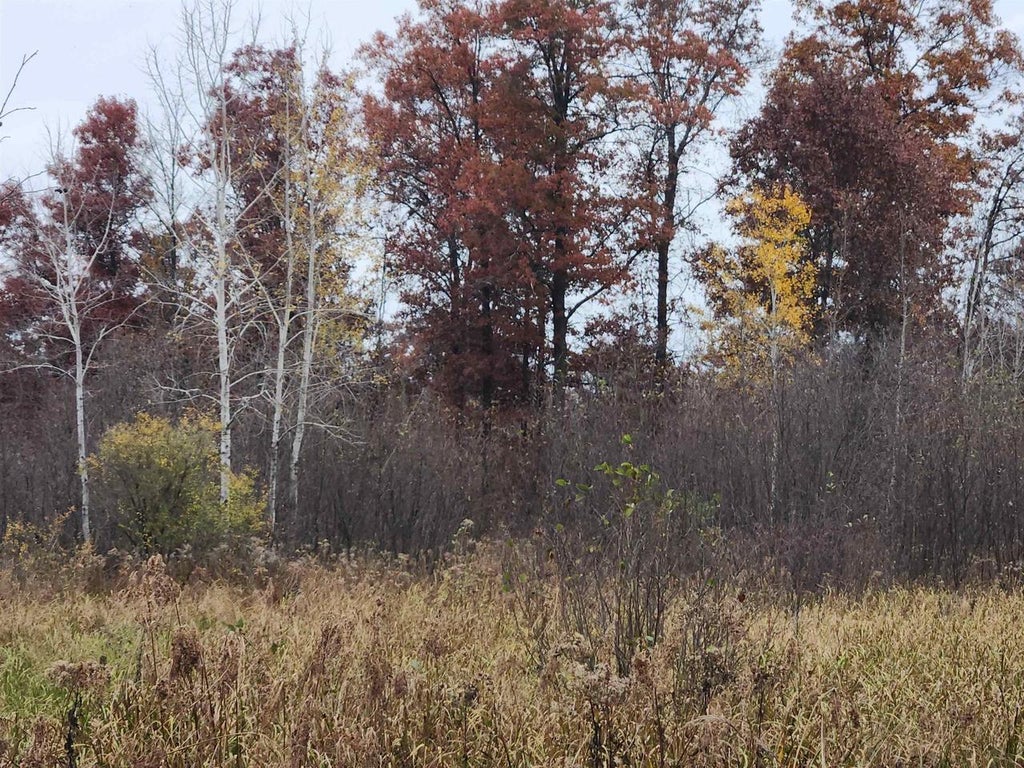 Photo of 521 Cottonville AVENUE, Friendship, WI 53934 (MLS # 2035457)
