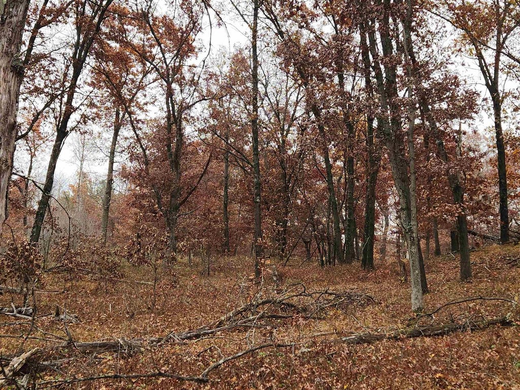Photo of 521 Cottonville AVENUE, Friendship, WI 53934 (MLS # 2035457)