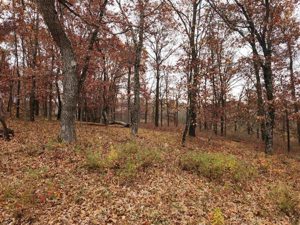 Photo of 521 Cottonville AVENUE, Friendship, WI 53934 (MLS # 2035457)