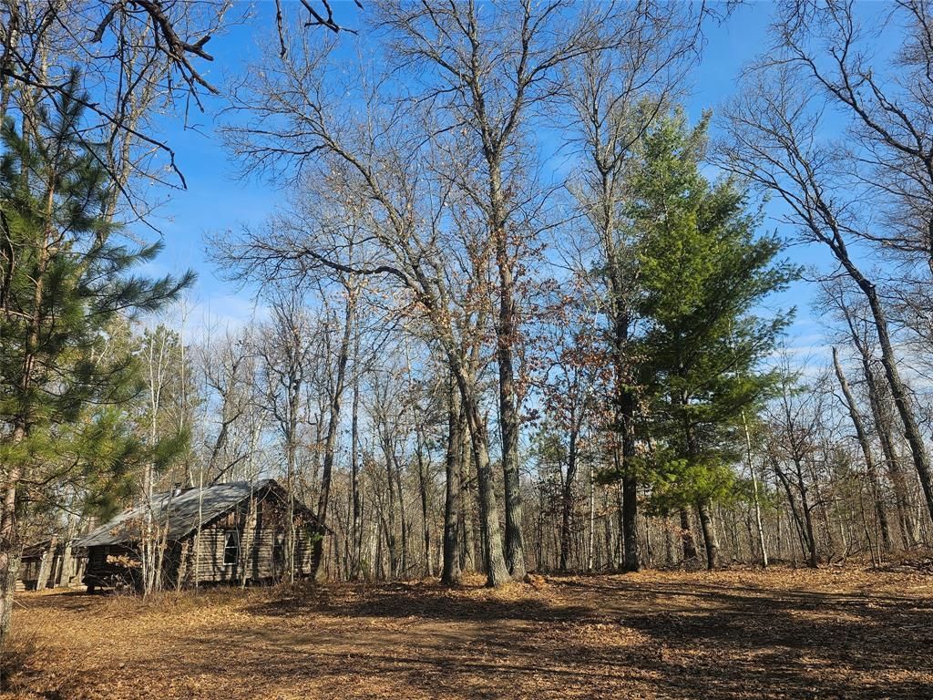 Photo of 1894 S Lost Lake ROAD, Danbury, WI 54830 (MLS # 1599386)