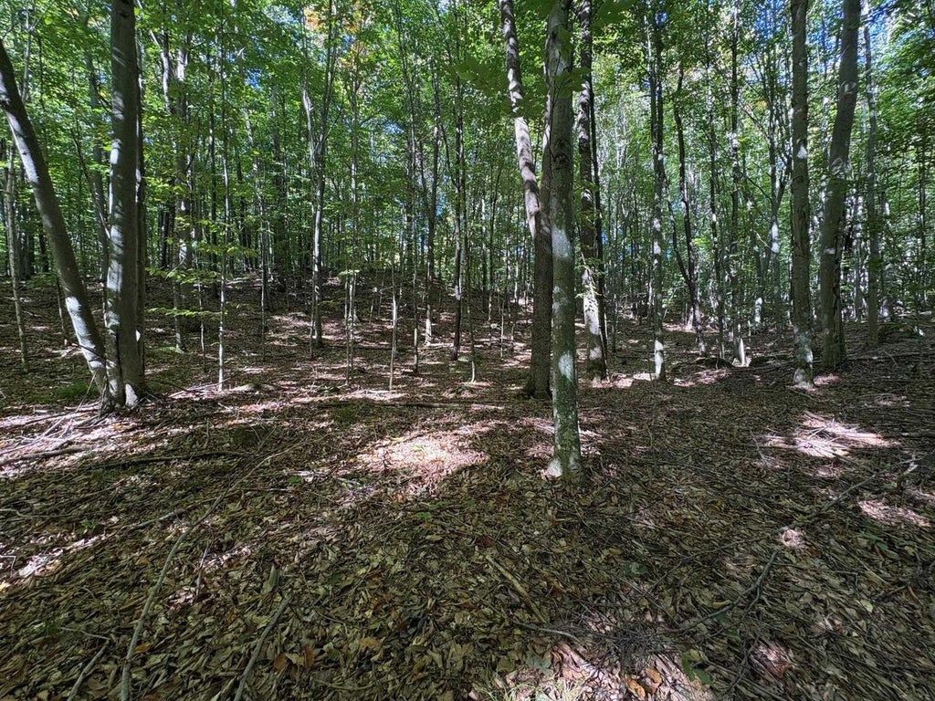 Photo of Bear Cave ROAD, Athelstane, WI 54102 (MLS # 50333288)