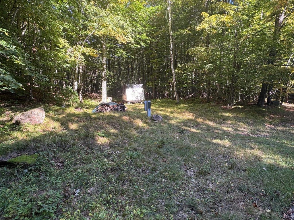 Photo of Bear Cave ROAD, Athelstane, WI 54102 (MLS # 50333288)