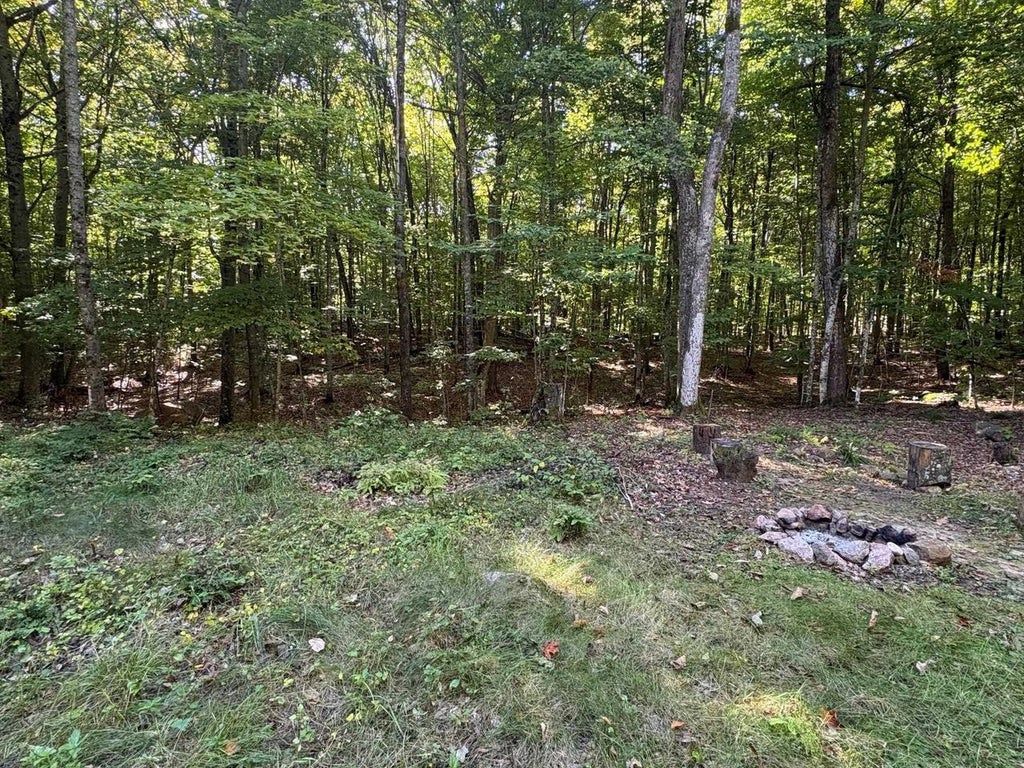 Photo of Bear Cave ROAD, Athelstane, WI 54102 (MLS # 50333288)