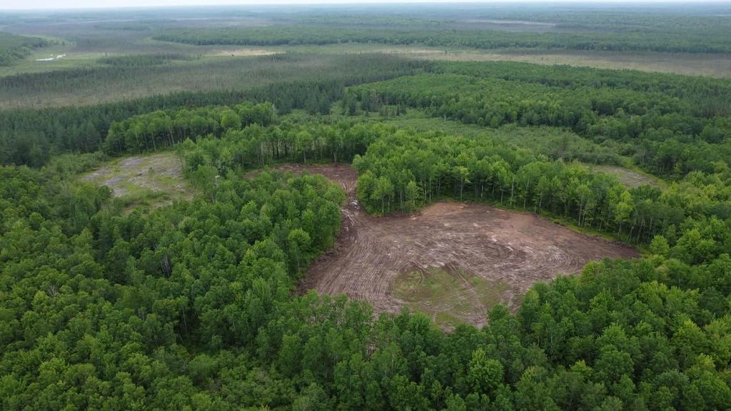 Photo of 120 Acres State Highway 86, Tomahawk, WI 54487 (MLS # 22505541)