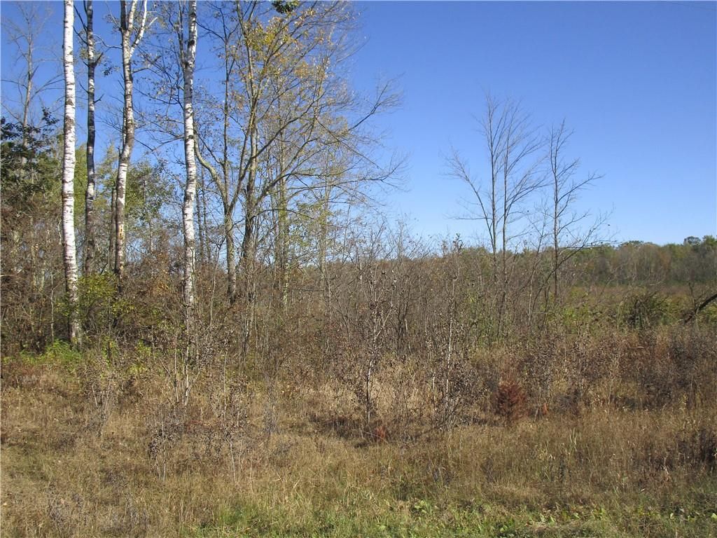 Photo of W9618 Mile road ROAD, Ladysmith, WI 54848 (MLS # 1599042)