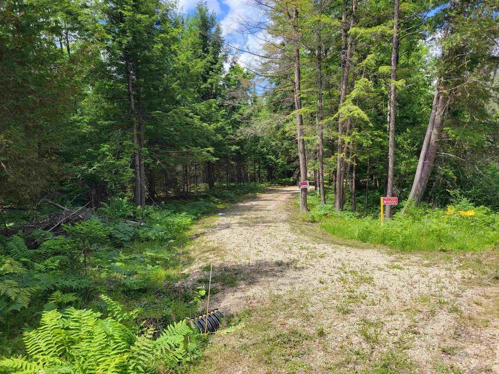 Photo of N11005 Rademaker ROAD, Wausaukee, WI 54177 (MLS # 50329115)