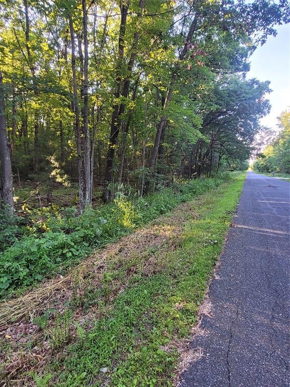 Photo of 00 Old Hwy 12 Lot 5, Merrillan, WI 54754 (MLS # 1602922)