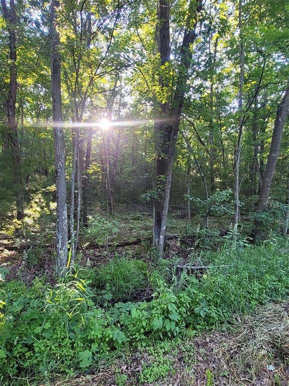 Photo of 00 Old Hwy 12 Lot 5, Merrillan, WI 54754 (MLS # 1602922)