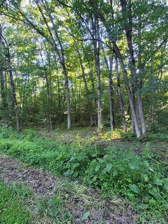 Photo of 00 Old Hwy 12 Lot 5, Merrillan, WI 54754 (MLS # 1602922)