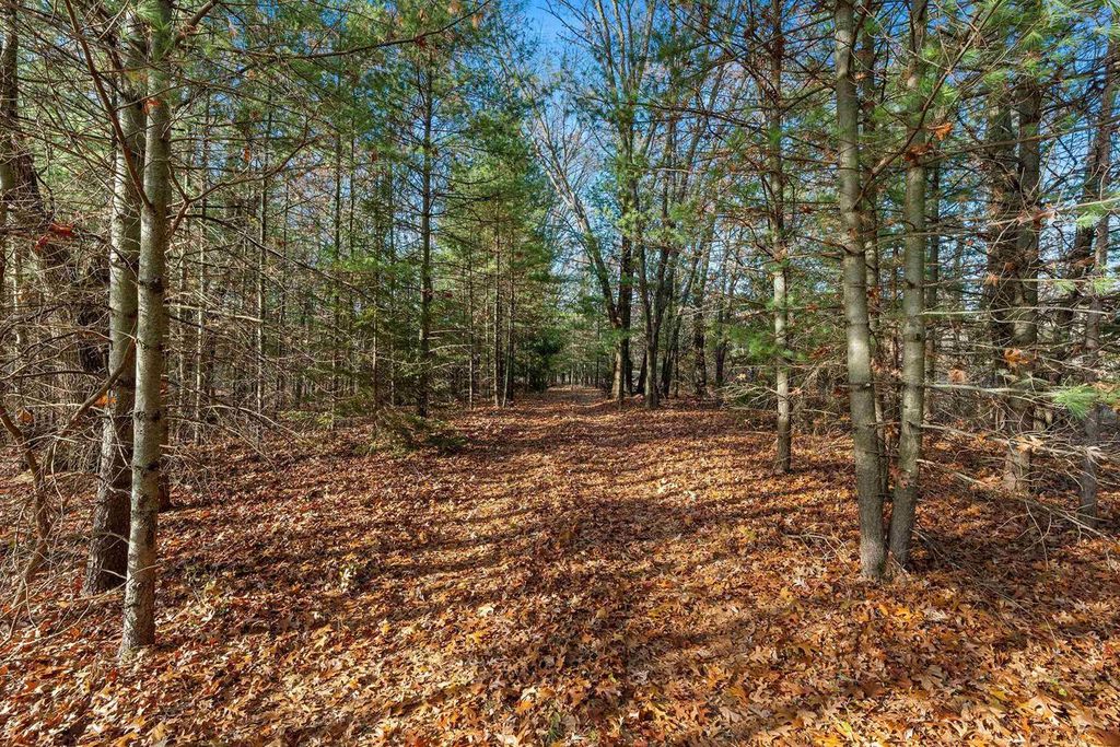 Photo of Eagle ROAD, Neshkoro, WI 54960 (MLS # 50318094)