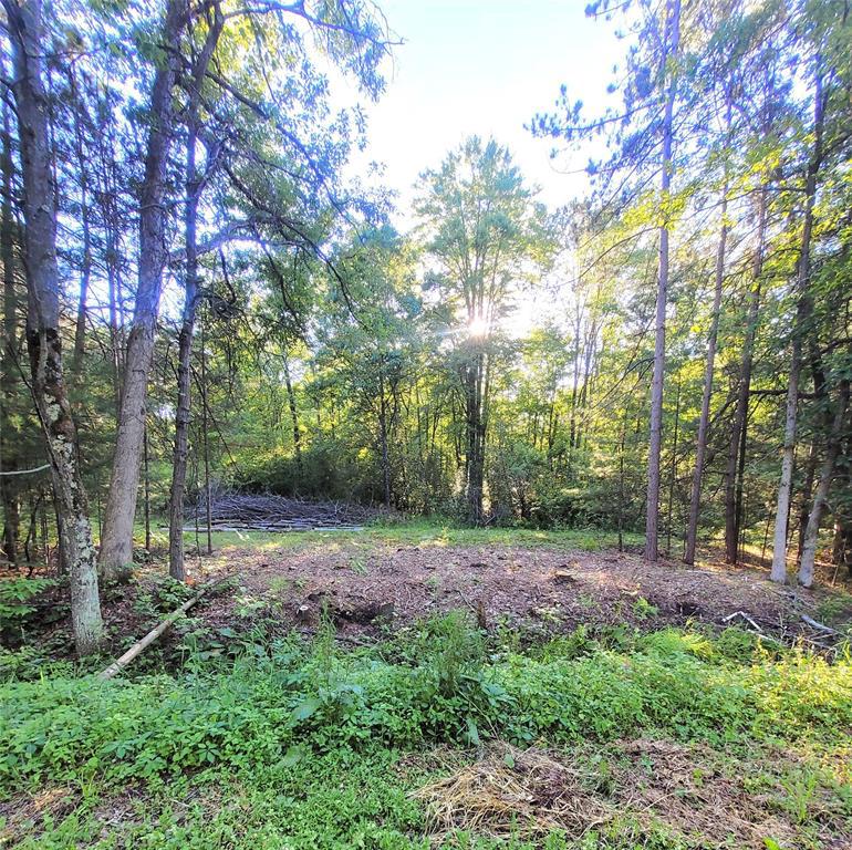 Photo of 0 Old Hwy 12 Lot 6, Merrillan, WI 54754 (MLS # 1602219)