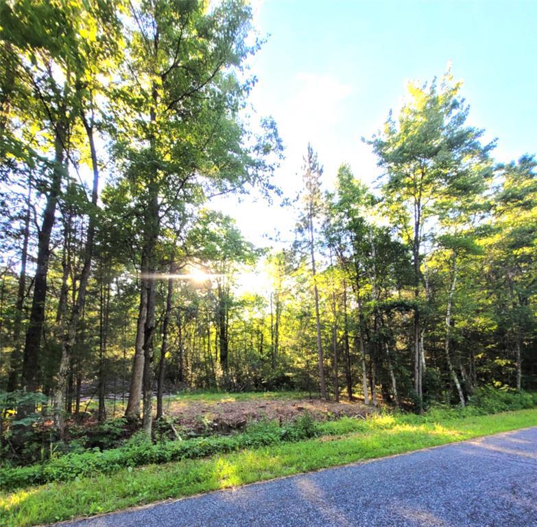 Photo of 0 Old Hwy 12 Lot 6, Merrillan, WI 54754 (MLS # 1602219)