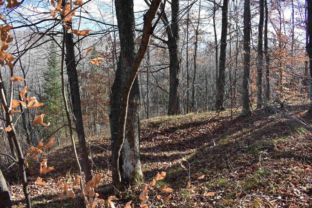 Photo of N13315 Harper ROAD, Athelstane, WI 54104 (MLS # 50317797)