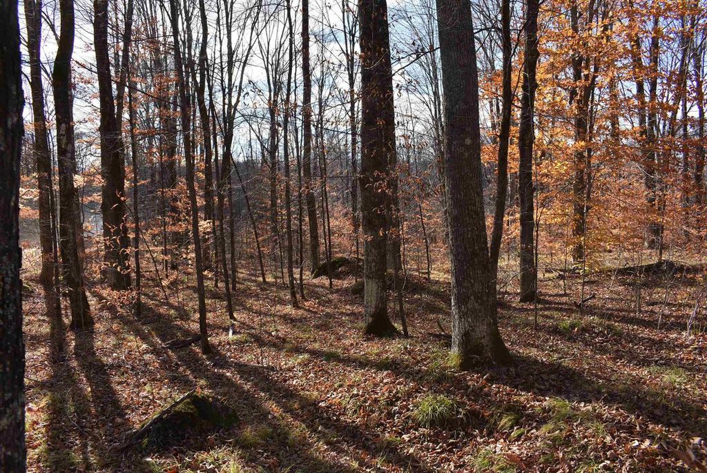 Photo of N13315 Harper ROAD, Athelstane, WI 54104 (MLS # 50317797)