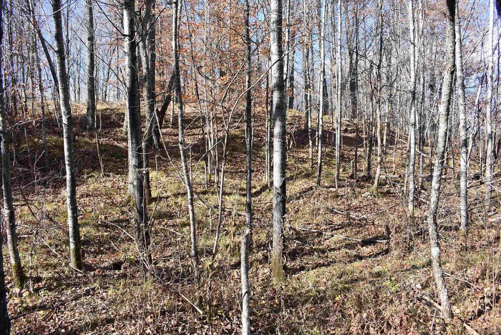 Photo of N13315 Harper ROAD, Athelstane, WI 54104 (MLS # 50317797)