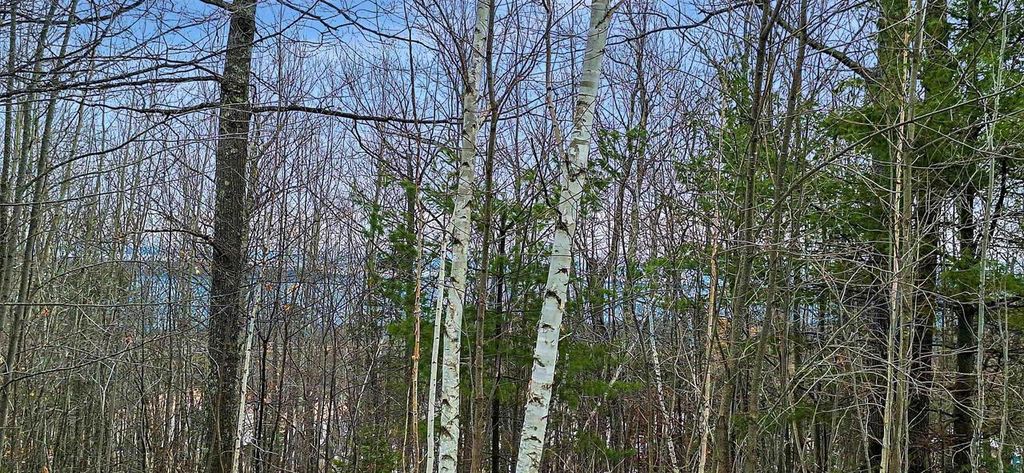 Photo of xxx Apple Hill ROAD, Bayfield, WI 54814 (MLS # 6124605)