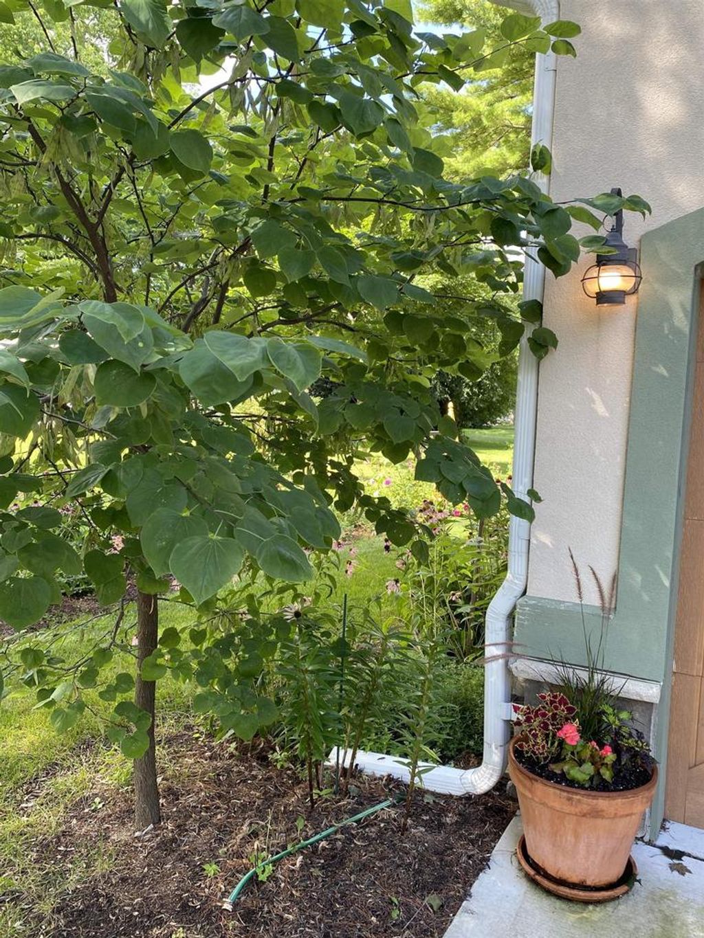 Photo of 214 Johnson STREET, Cambridge, WI 53523 (MLS # 2015147)