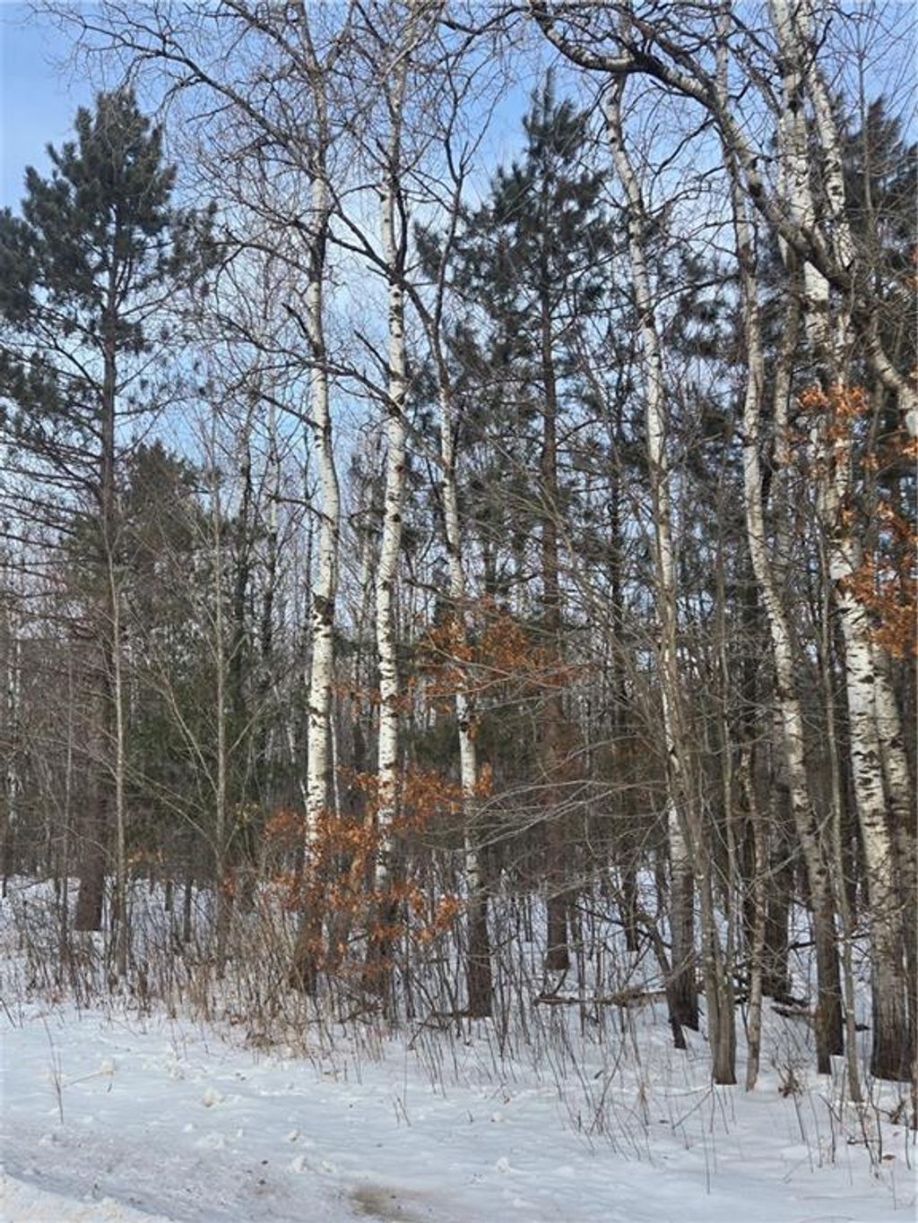 Photo of 000 County Hwy G, Holcombe, WI 54748 (MLS # 1598098)