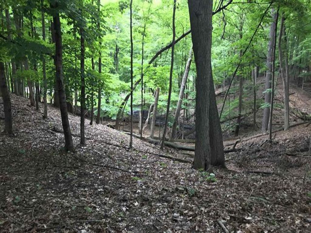 Photo of Edgewood LANE, Green Bay, WI 54302 (MLS # 50320052)