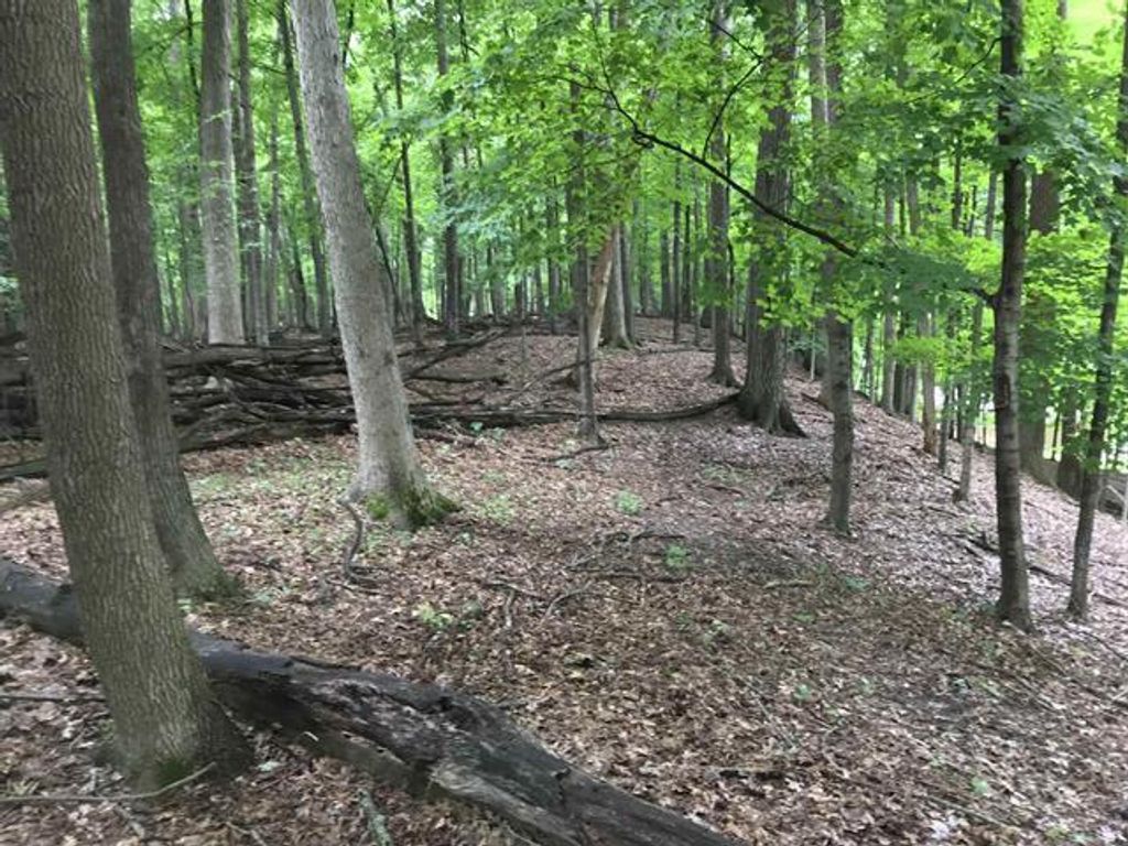 Photo of Edgewood LANE, Green Bay, WI 54302 (MLS # 50320052)